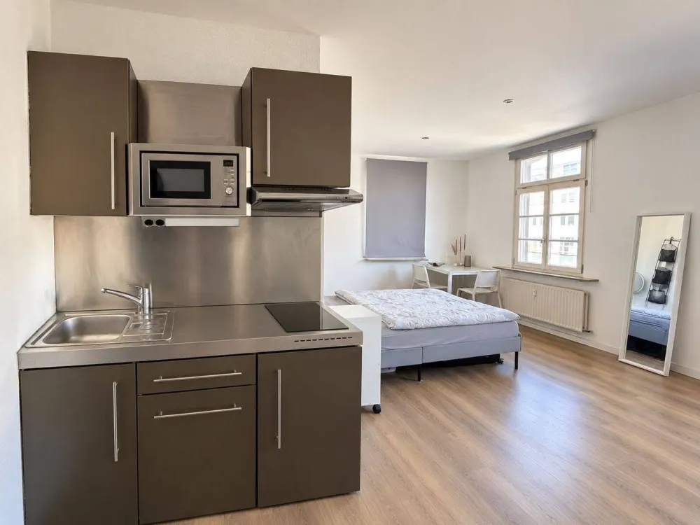 Bright 1-Room Apartment in Stuttgart-Mitte