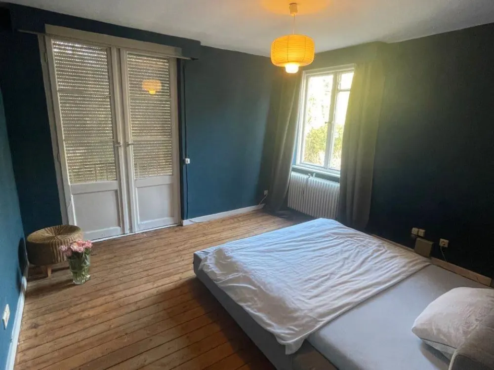 Stylishly Furnished Apartment with Alster View in Historic Gründerzeit
