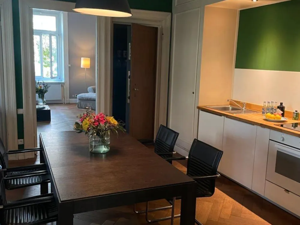 Stylishly Furnished Apartment with Alster View in Historic Gründerzeit