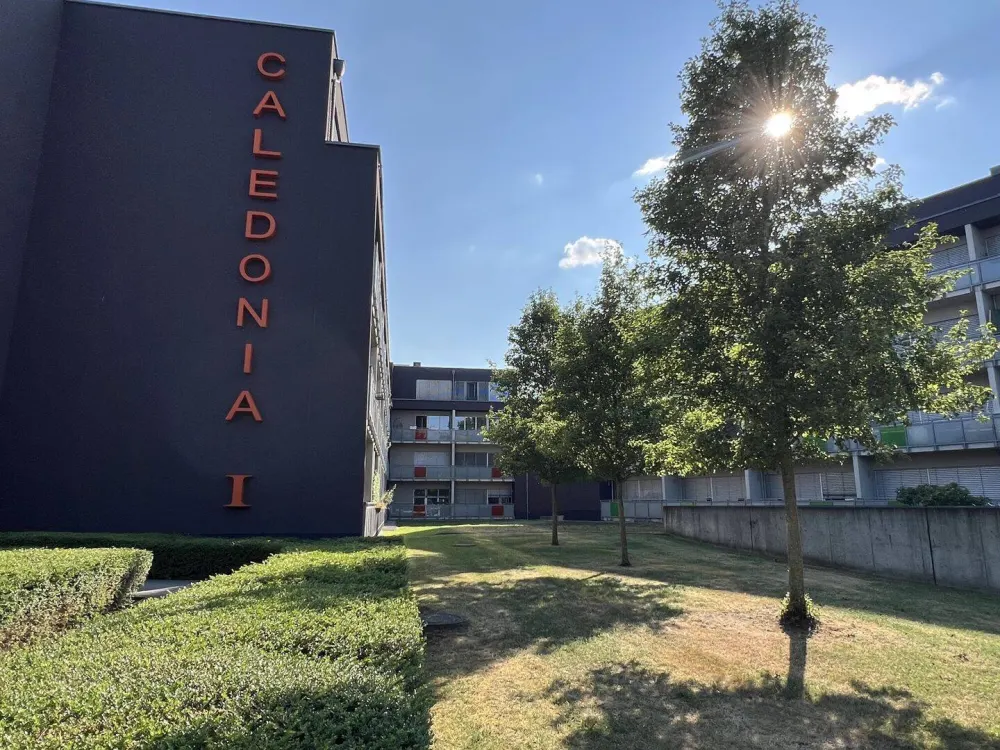 Cozy 1-Room Apartment for Rent in Münster | Wentzel Dr.