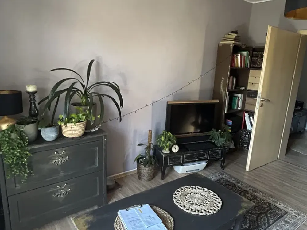 Well-maintained 2-room apartment in Dresden-Mickten with balcony overlooking the garden