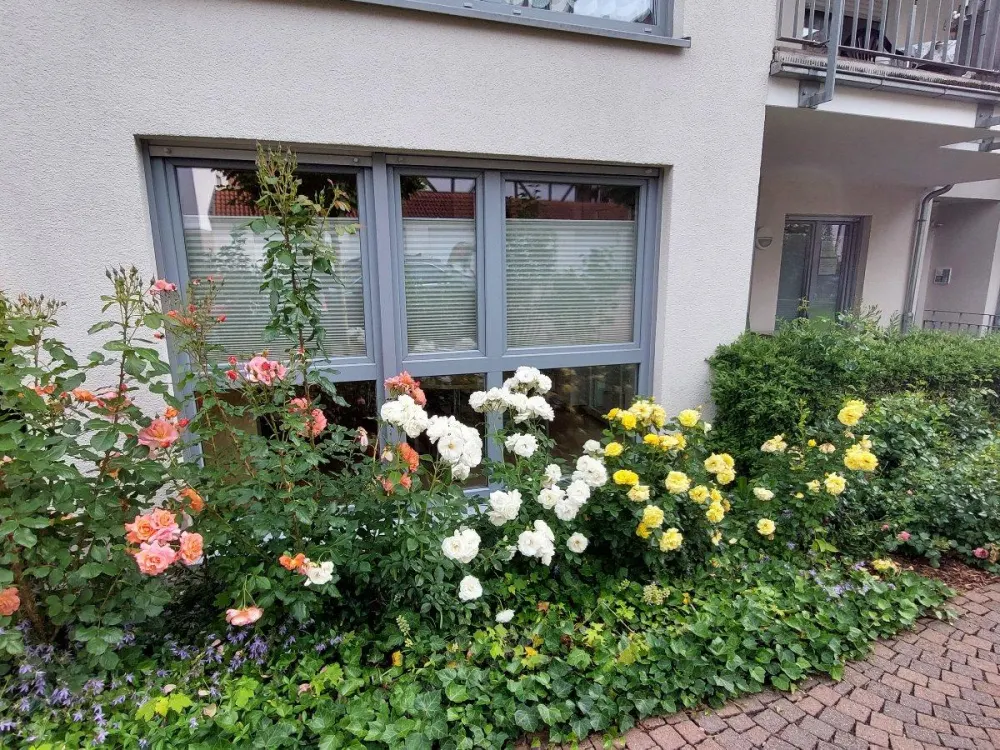 Barrier-free Apartment in Gudensberg Center (2012, A+, Fitted Kitchen)