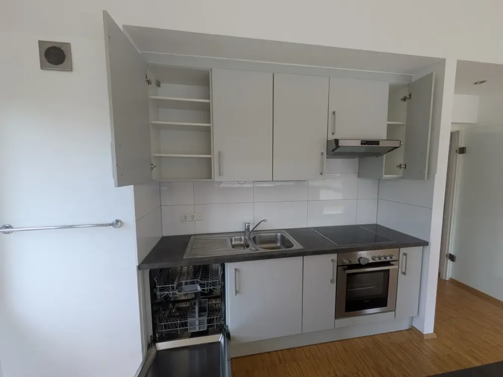 Modern 3-Room Apartment with Large South-Facing Terrace and Built-in Kitchen