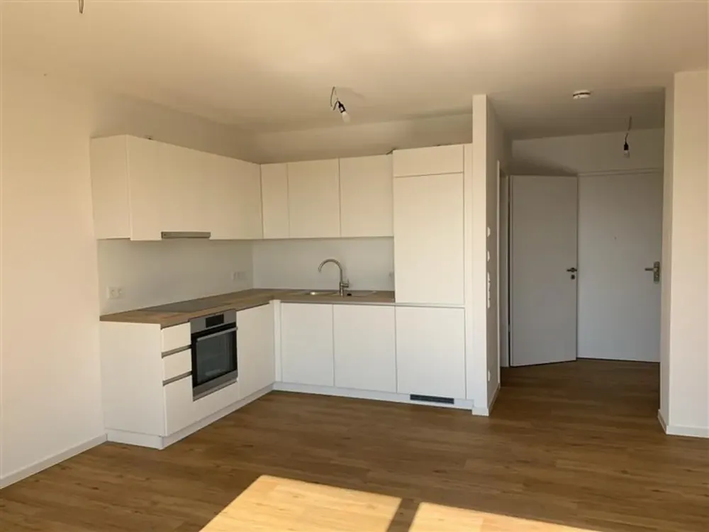 2-Room Apartment with Balcony and Built-in Kitchen on the Ground Floor