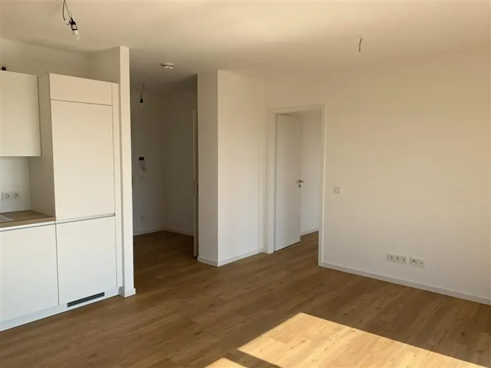 2-Room Apartment with Balcony and Built-in Kitchen on the Ground Floor