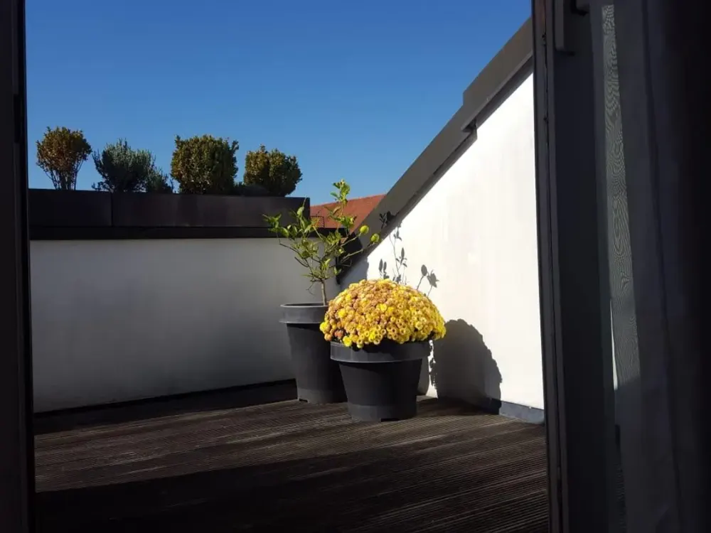 Exceptional Gallery Shared Room & Adjacent Room with Private Roof Terrace 5 Minutes Walk to Lake Constance