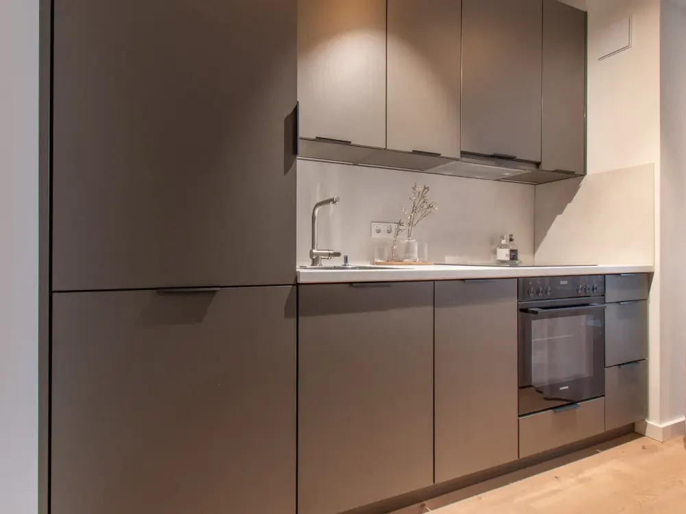 High-quality furnished 2-room apartment with Baakenhafen view - Wentzel Dr.