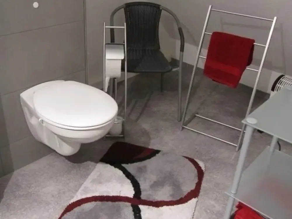 Large Shared Apartment Room in Oberuhldingen, seenah