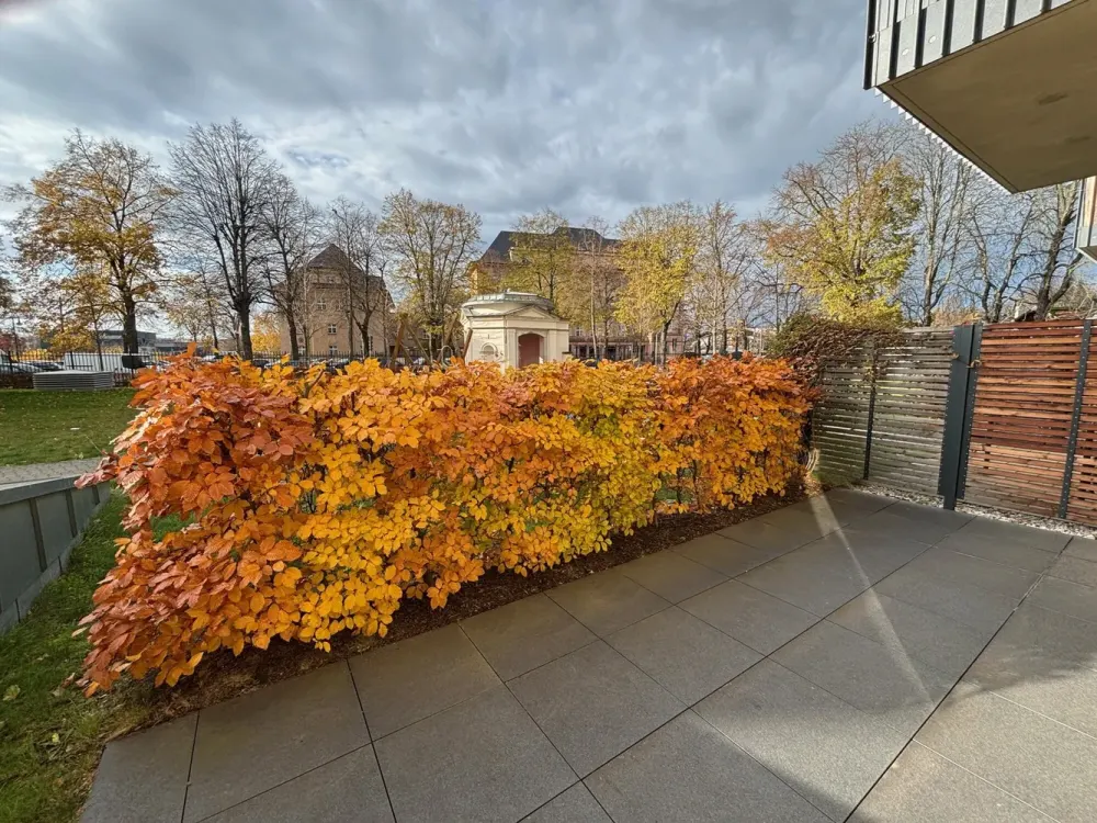 Cozy 2-Room Apartment for Rent in Leipzig - Wentzel Dr.