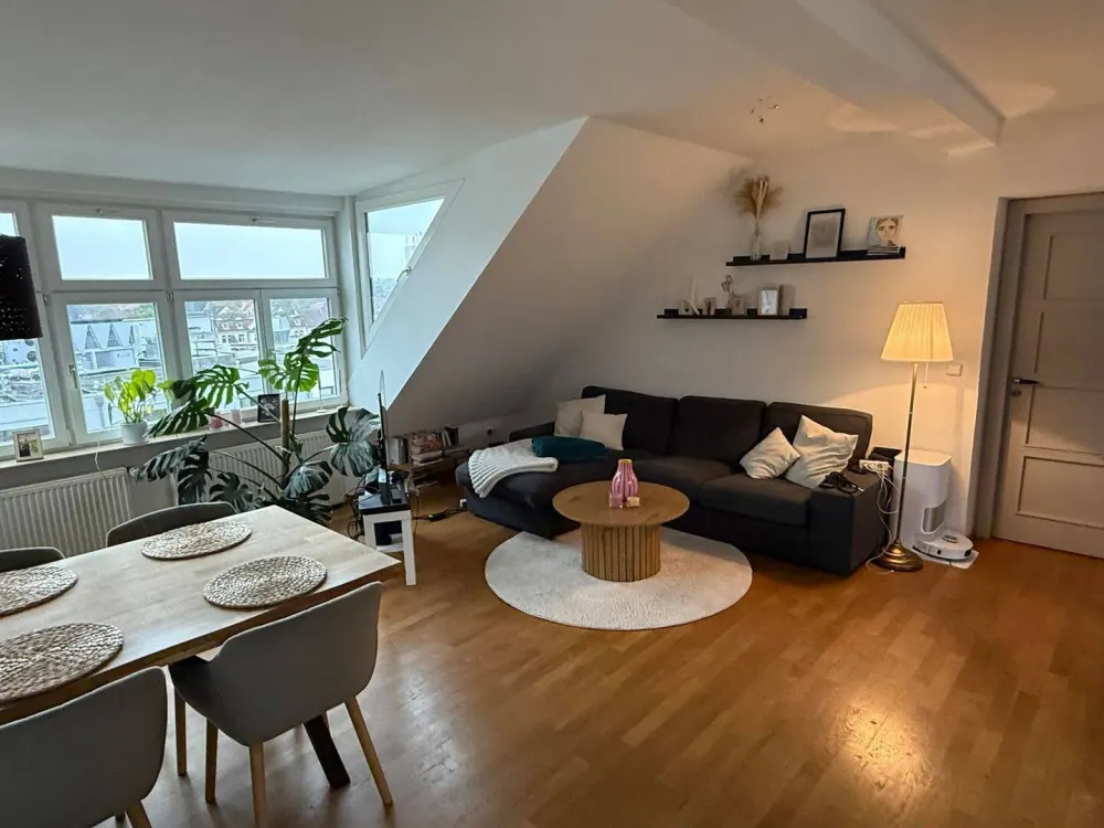 Exceptional Old Building Apartment with Roof Terrace and Balcony