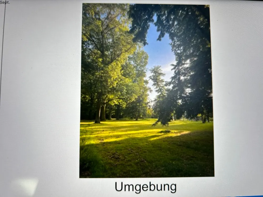 Idyllic Living Directly in the Park, Exclusive First Rental Leipzig