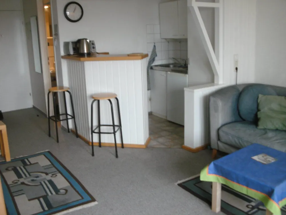 1 Room Apartment 40 m²; Apartment