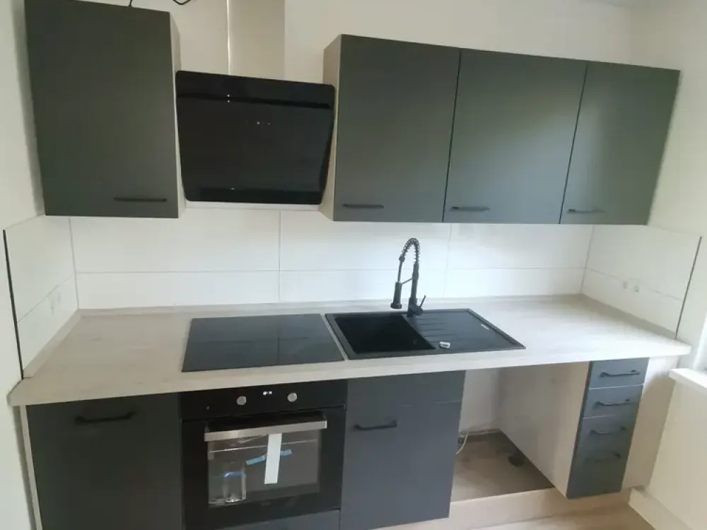 Renovated 1.5-Room Apartment in the Harbor District