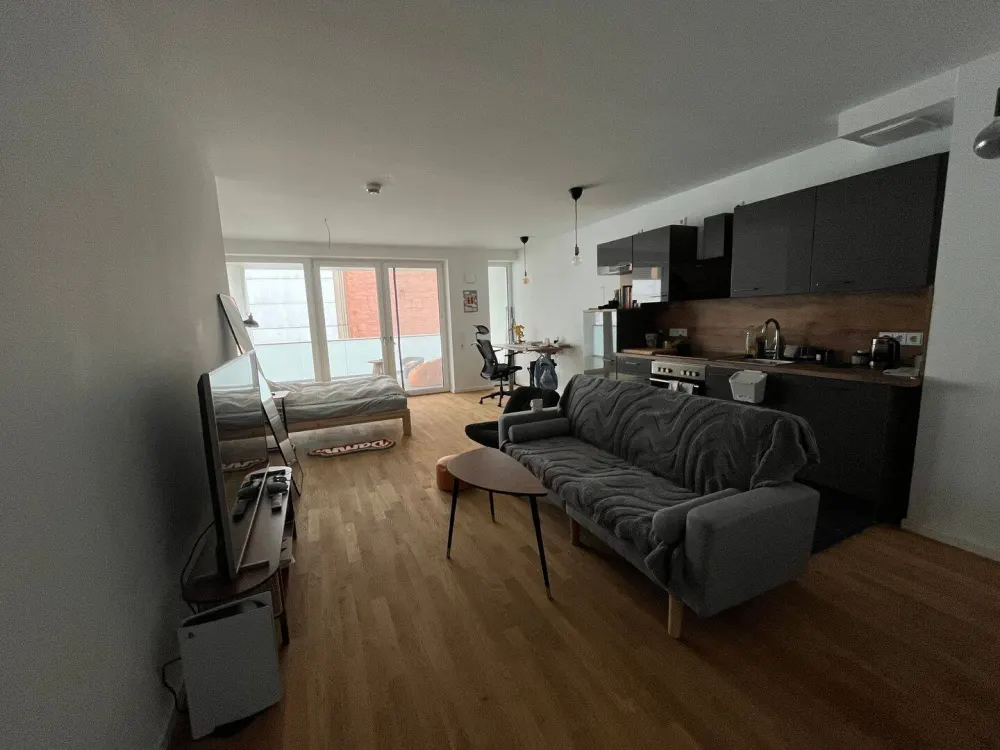 Sublet: December, January (approx. 1 month).