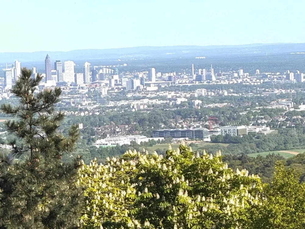 Furnished / fully furnished 3.5-room apartment with skyline view in Königstein im Taunus