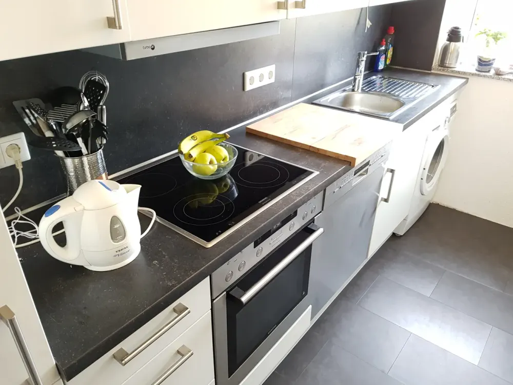 Renovated 3.5 Rooms with New Kitchen and Balcony