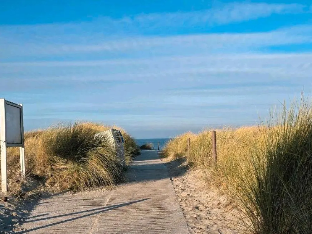 Inquiry Stop - Successor Tenant Wanted for Baltic Sea Dream