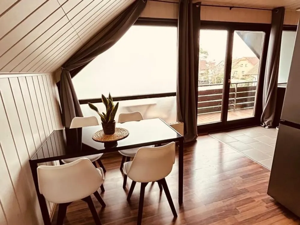 2.5 Rooms Seeking Empathetic Residents