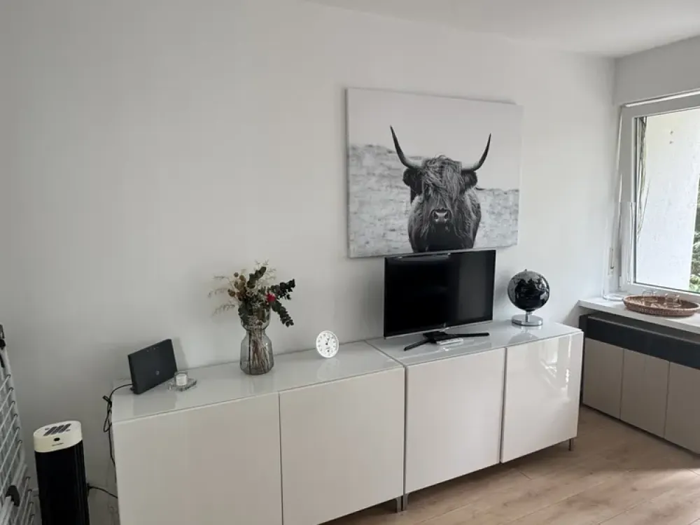 Furnished Business Studio with Terrace & Garden