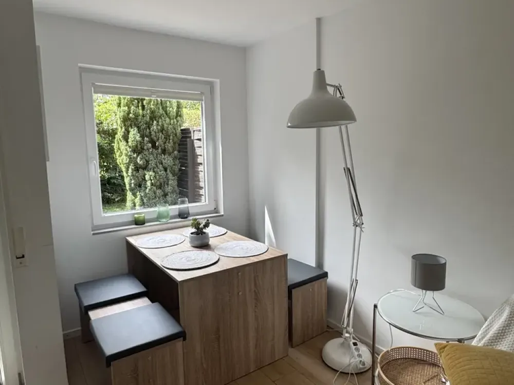Furnished Business Studio with Terrace & Garden