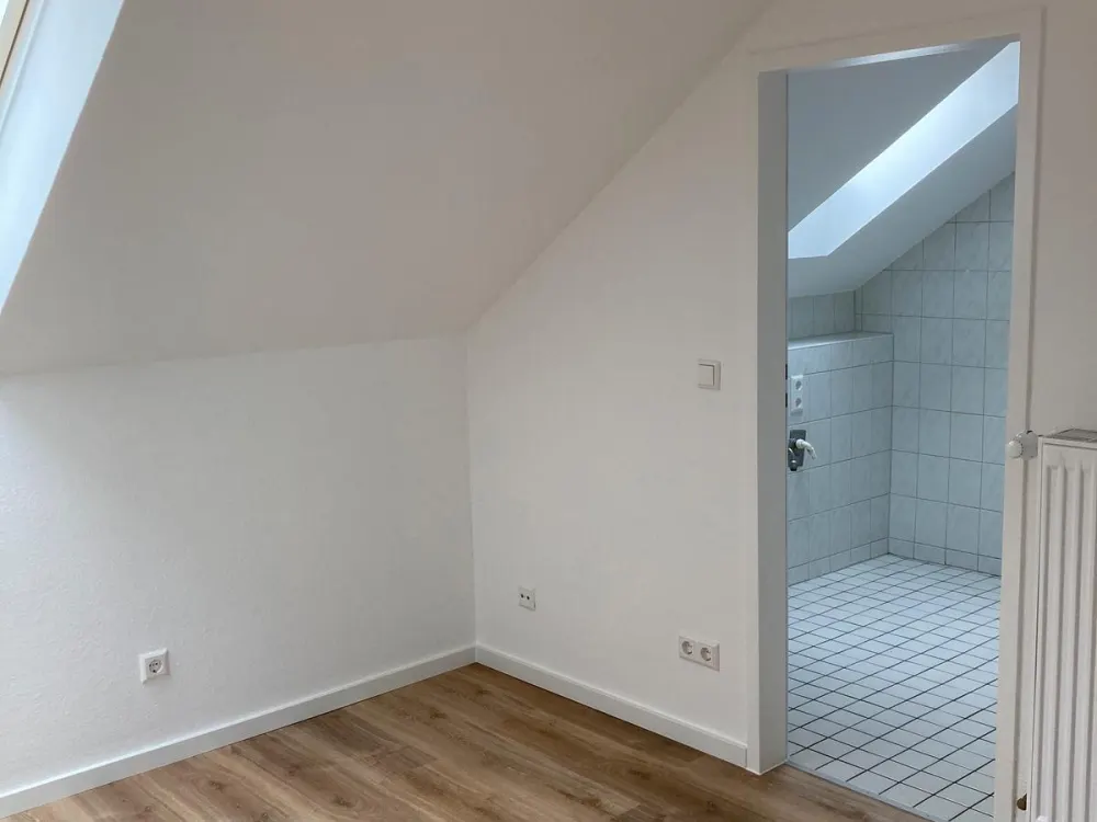Bright 1-Room Attic Apartment