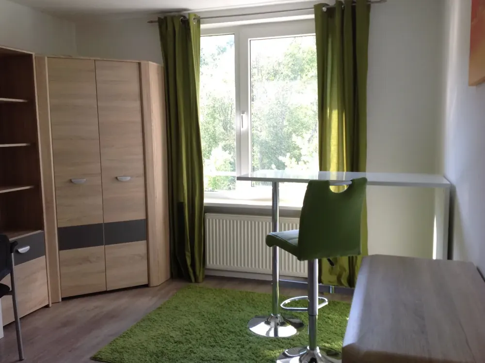 Extraordinary Apartment - Not for Everyone, but Maybe for You?