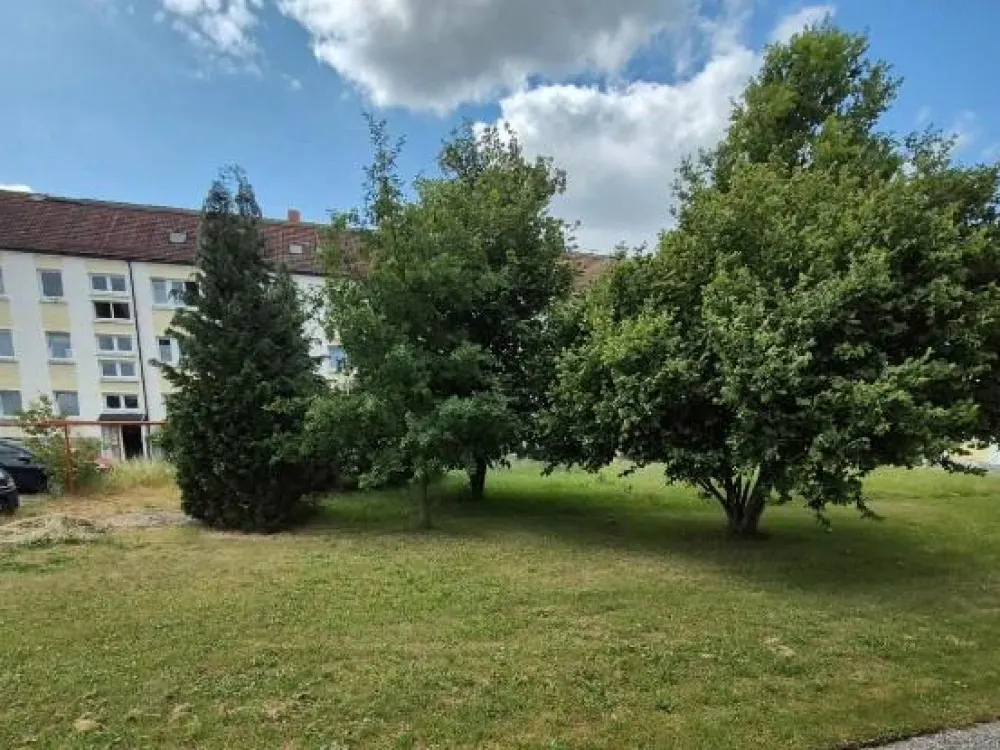 Geräumige 3-Raum-Wohnung im Erdgeschoss, ab 01.08.26 bezugsfrei!