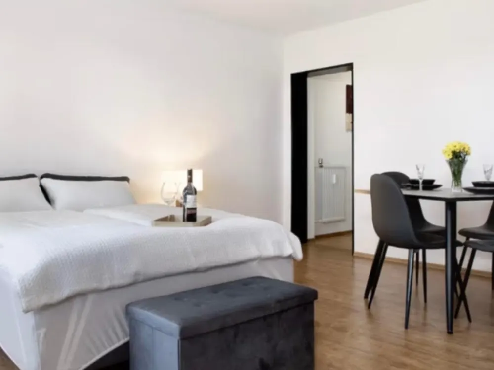 Subletting of a 1-room apartment from 01.01.27 to 31.03.27