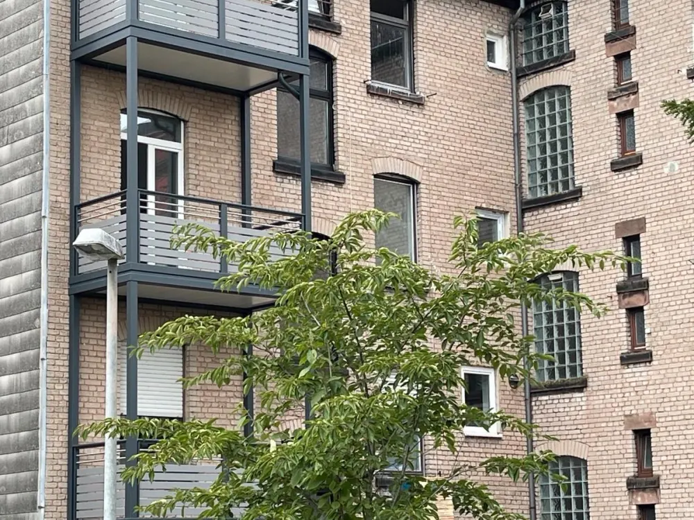 3.5 Room Kitchen 2 Bathrooms Balcony Apartment Rotenbühl Fully Renovated