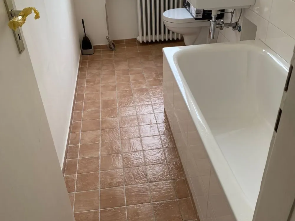 3.5 Room Kitchen 2 Bathrooms Balcony Apartment Rotenbühl Fully Renovated