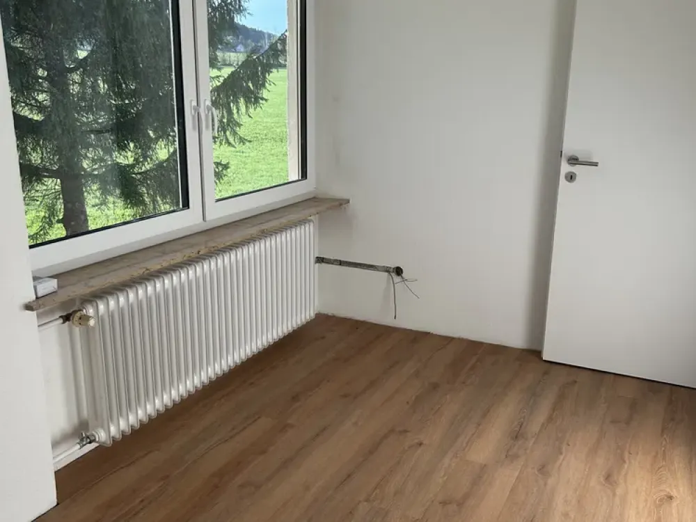 Freshly Renovated 3-Room Apartment with Dreamy Green Views, Niederdorf