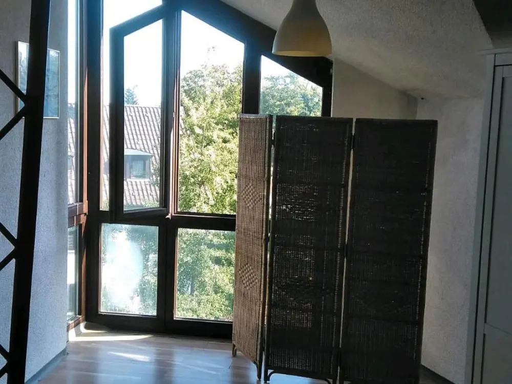 Beautiful, bright single apartment