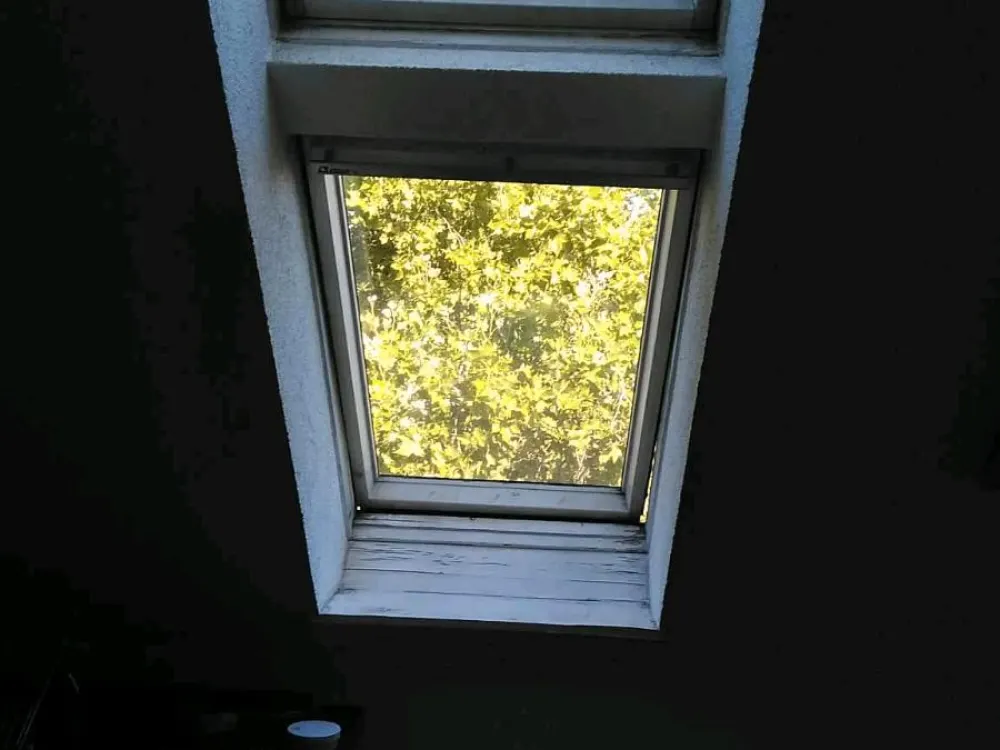 Beautiful, bright single apartment