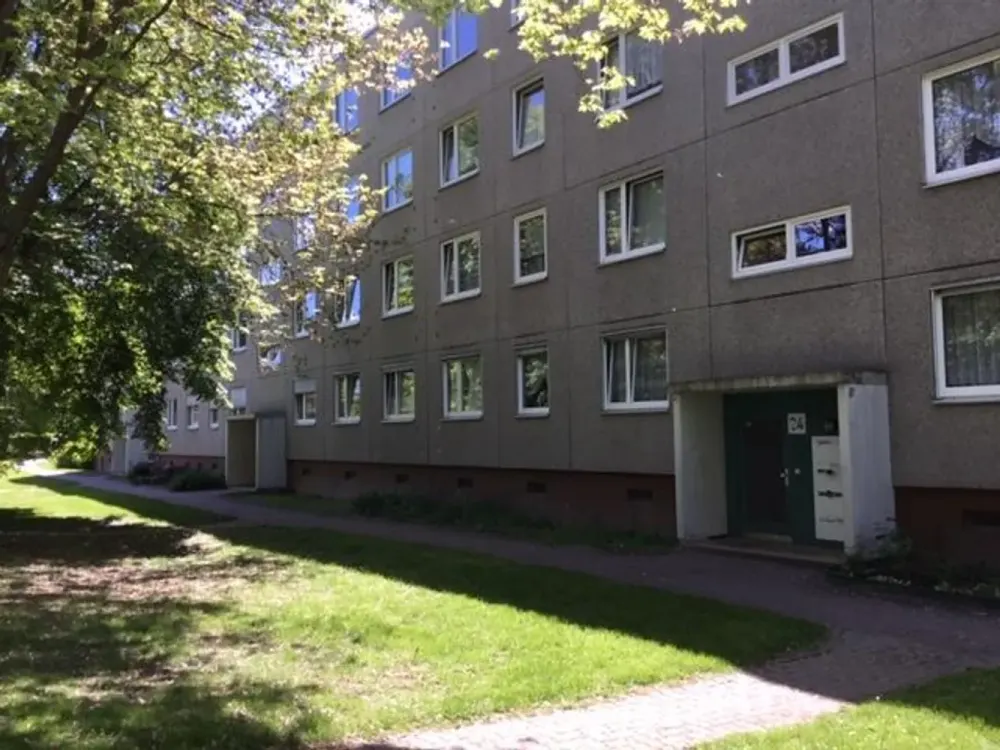Spacious 4-Room Apartment Seeks Nice Neighbors