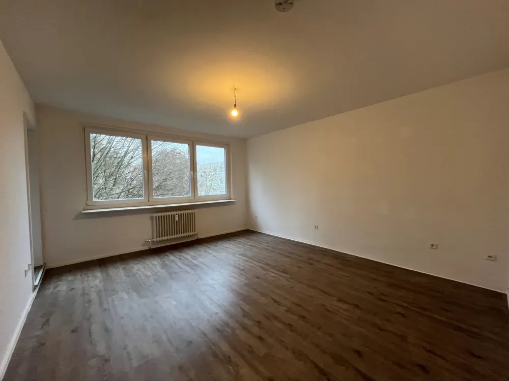 Spacious 4-Room Apartment Seeks Nice Neighbors