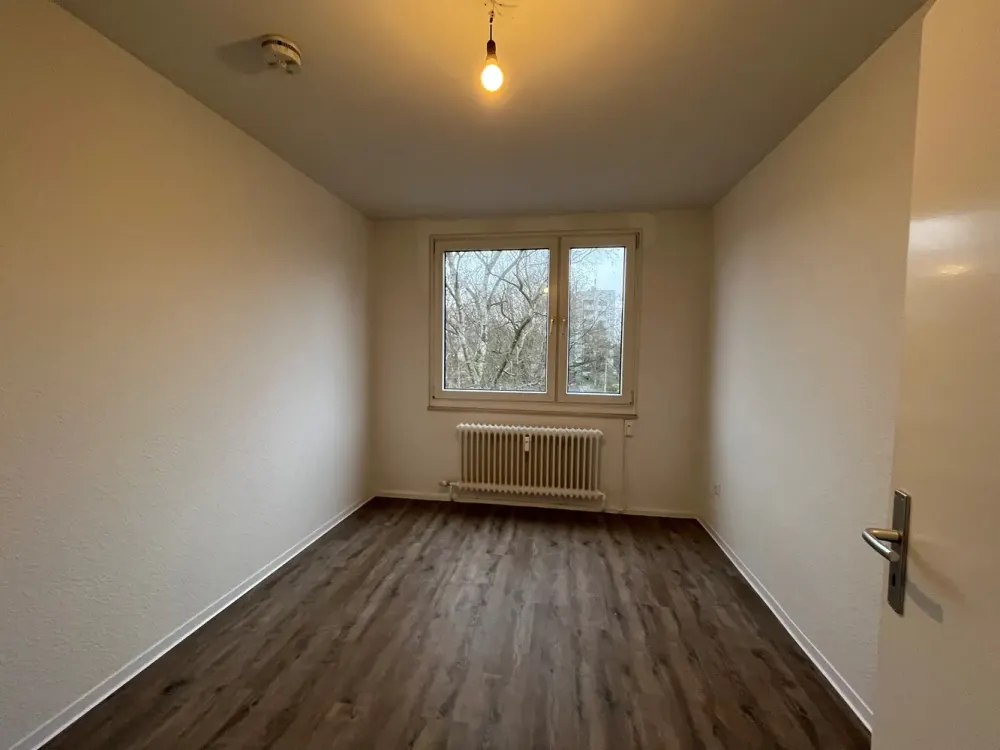 Spacious 4-Room Apartment Seeks Nice Neighbors