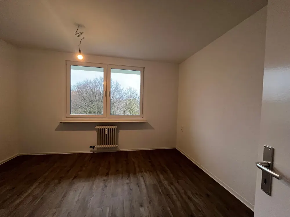 Spacious 4-Room Apartment Seeks Nice Neighbors