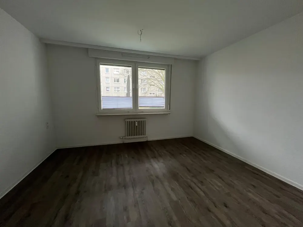 Spacious 4-Room Apartment Seeks Nice Neighbors
