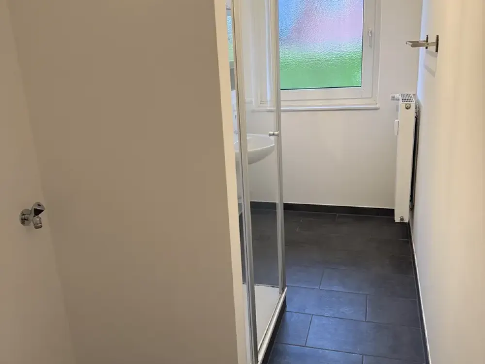 Bright 3-Room Apartment with Balcony. Shower Bath. Guest WC. Garage.