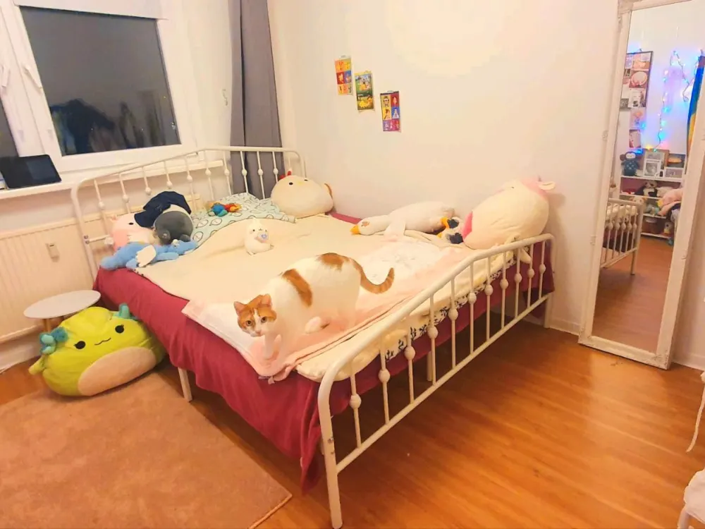 ANFRAGESTOPP - 51 m² - 2 Raum Wohnung - Rostock Toitenwinkel