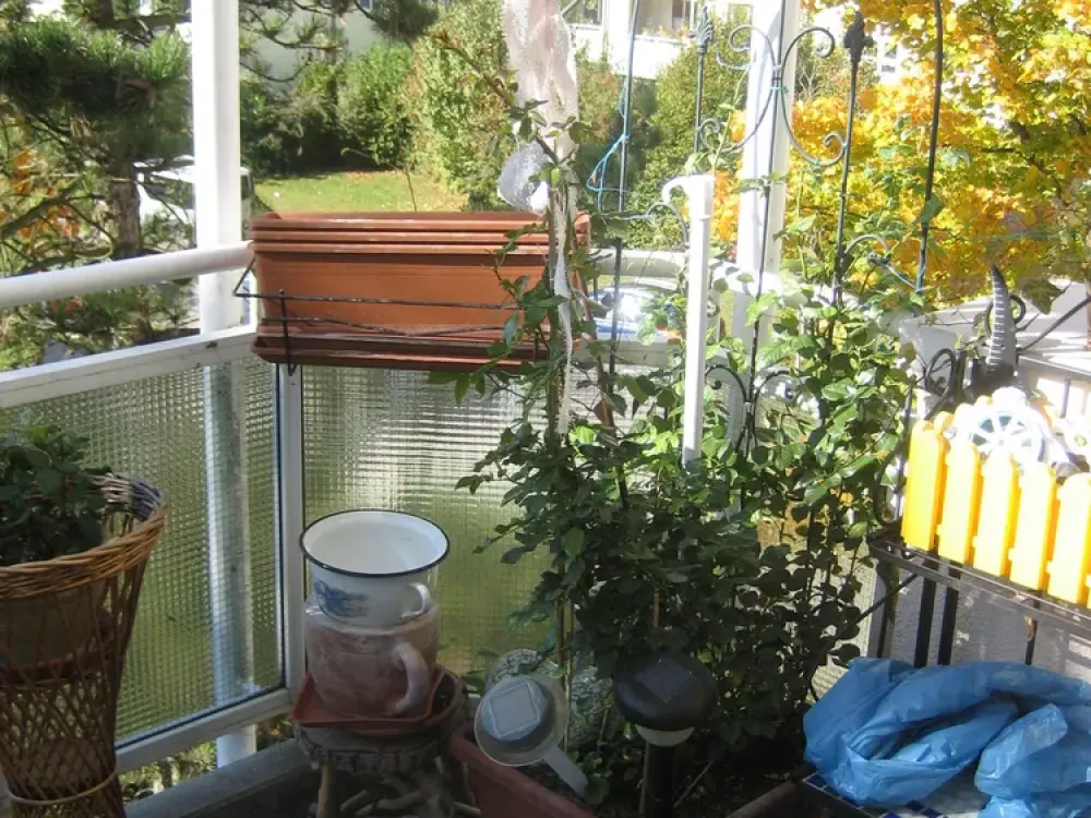 Well-maintained 2-room apartment with balcony in Germering