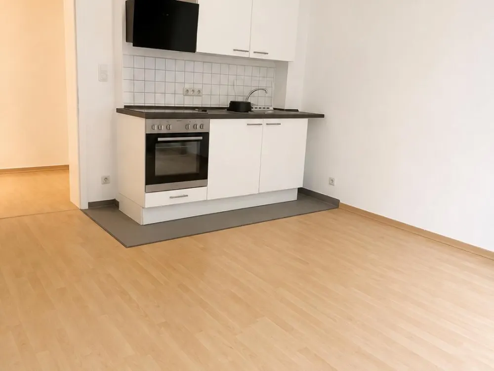Bright 1-Room Apartment with Built-in Kitchen (EBK)