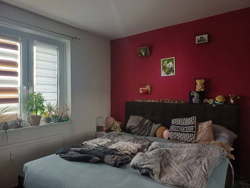 Cozy Family Home - Successor Wanted