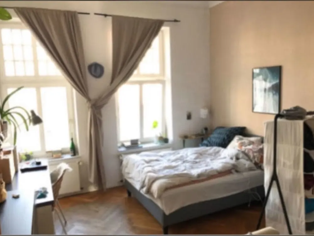 Beautiful Old Building Shared Room (Sublease)