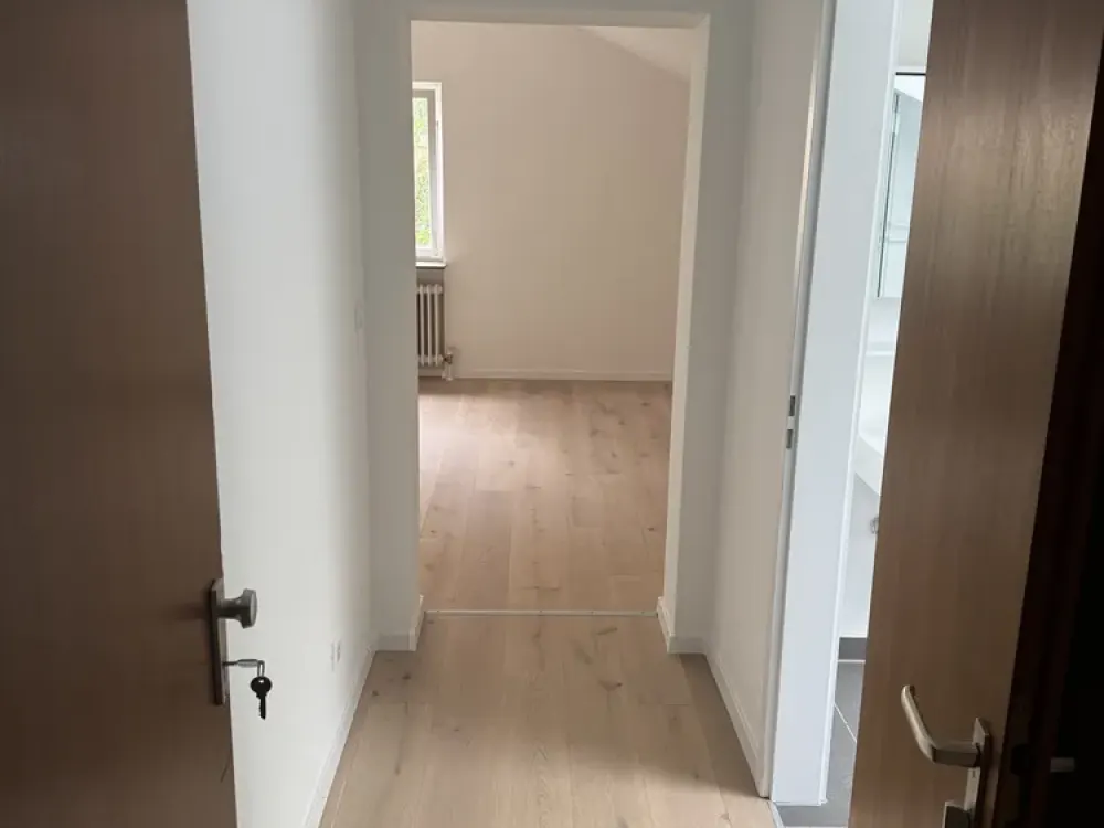 Sehr schönes 1 Zi DG Appartment