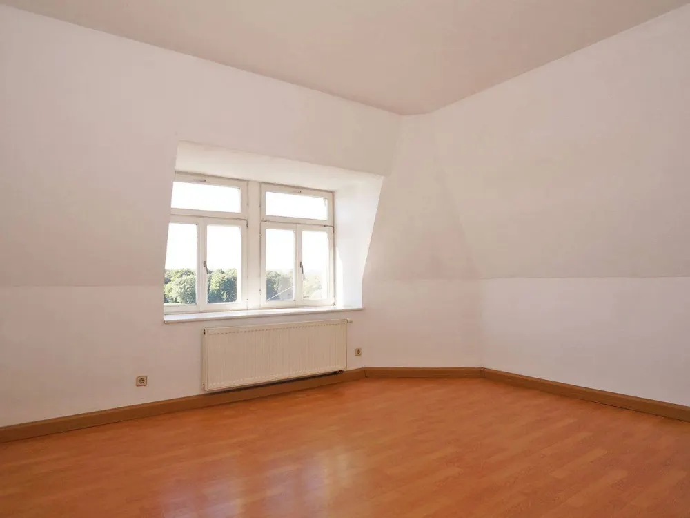 Pieschen, View over the Elbe: Shower + Laminate