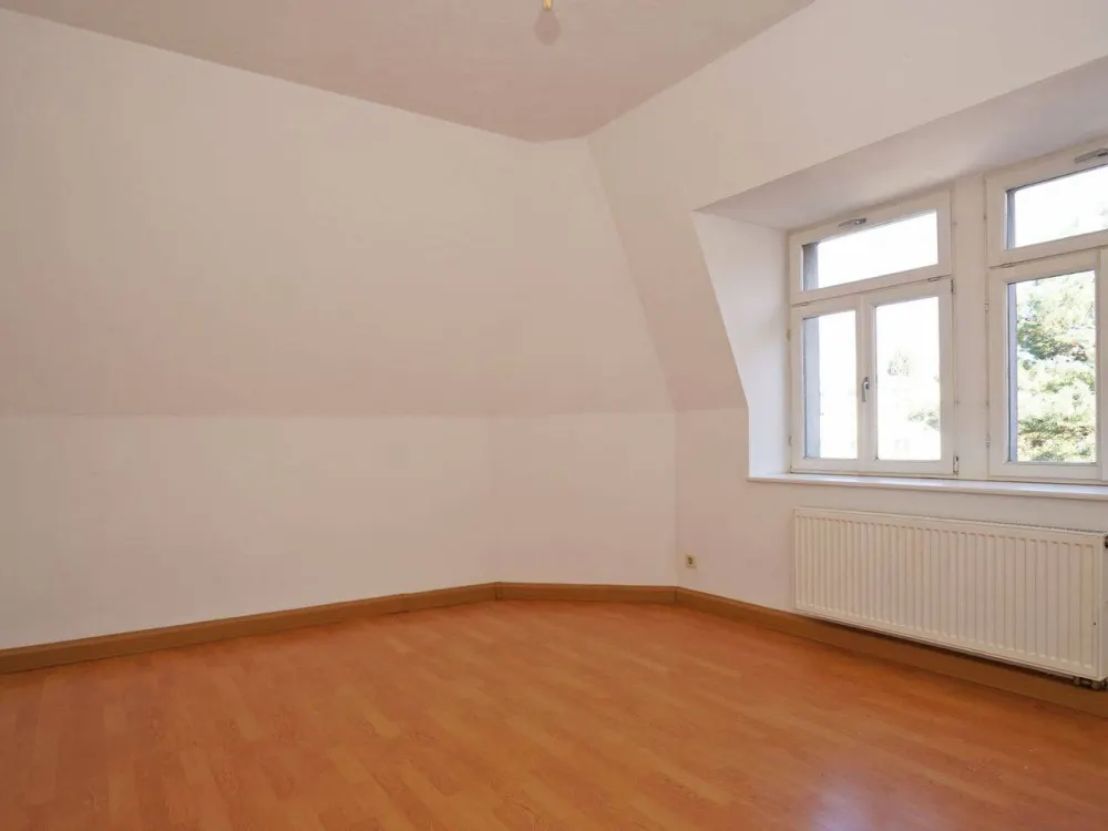 Pieschen, View over the Elbe: Shower + Laminate