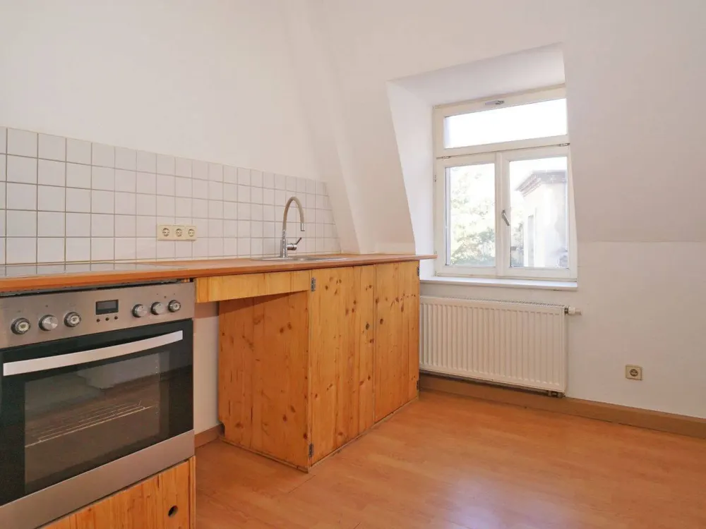Pieschen, View over the Elbe: Shower + Laminate
