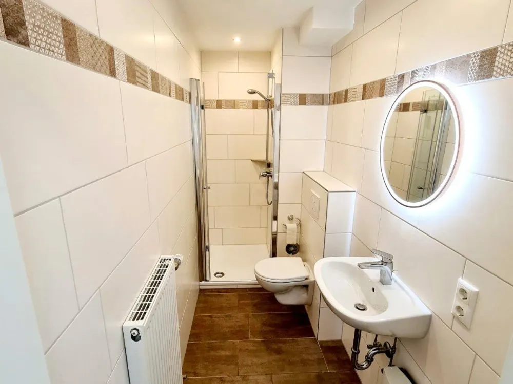 Renovated 1-Room Apartment with Balcony