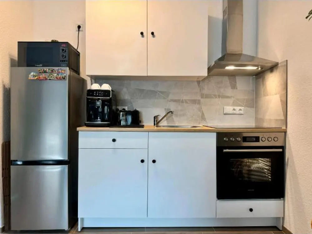 Renovated 1-Room Apartment with Balcony